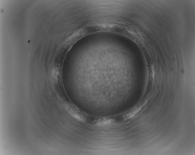 X0000065970235200603061157