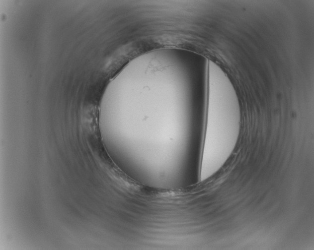 X0000065970237200603061157