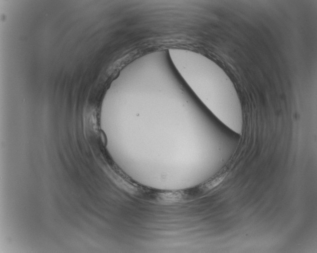 X0000065970238200603061157