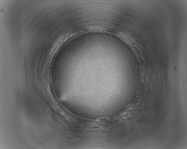 X0000065970241200603061156