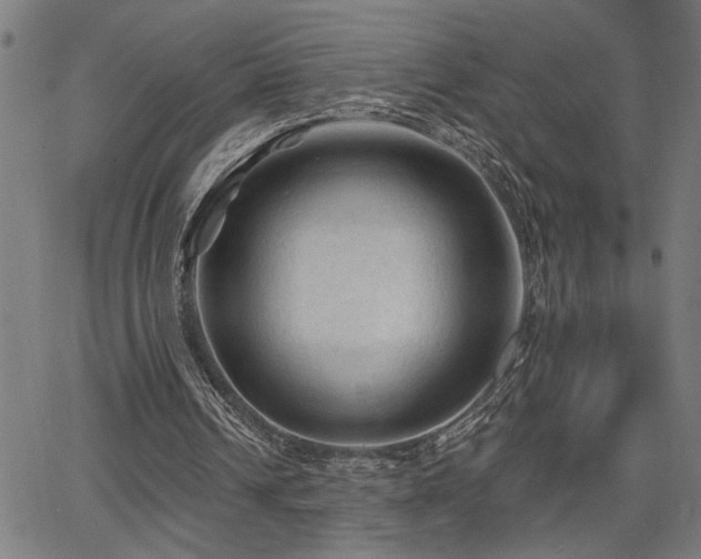 X0000065970242200603061156