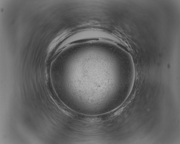 X0000065970245200603061156