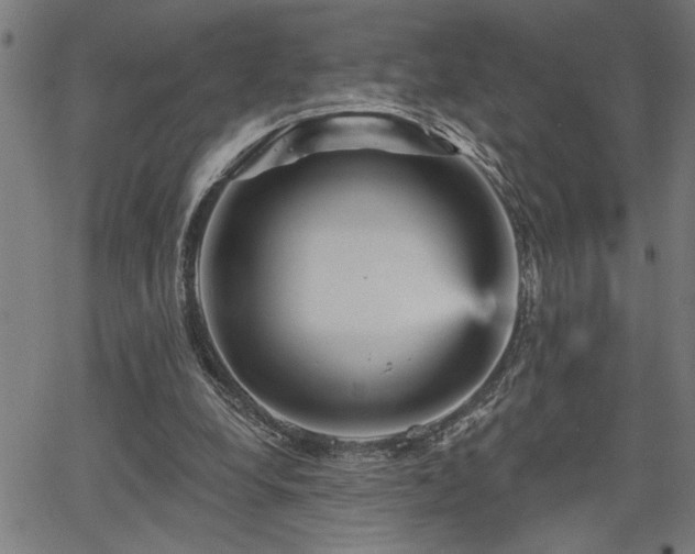 X0000065970248200603061156