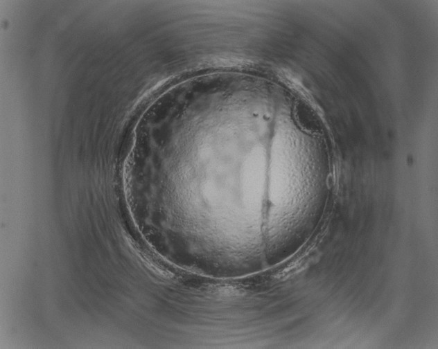 X0000065970249200603061156