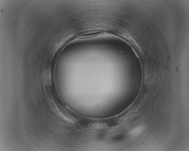 X0000065970251200603061156