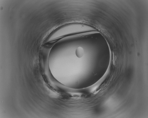 X0000065970252200603061156