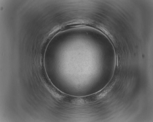 X0000065970253200603061156