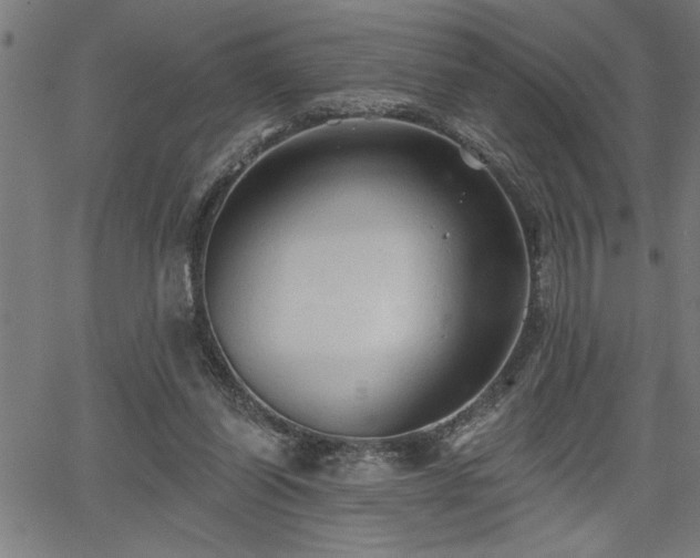 X0000065970254200603061156