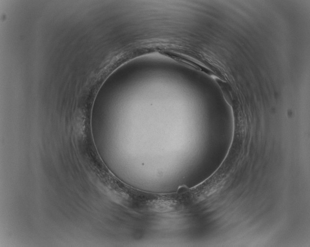 X0000065970255200603061156