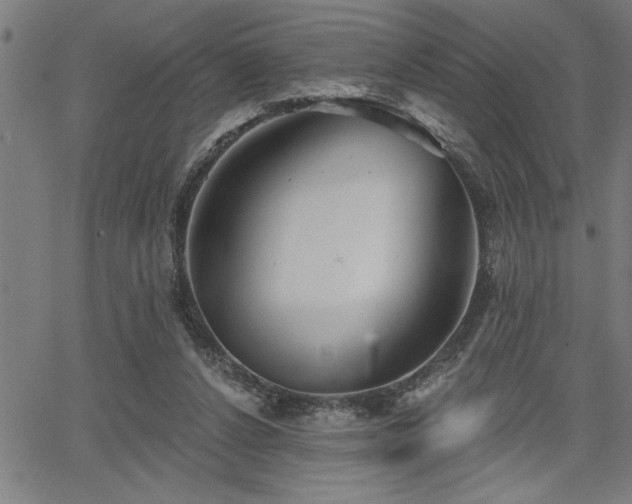 X0000065970256200603061156