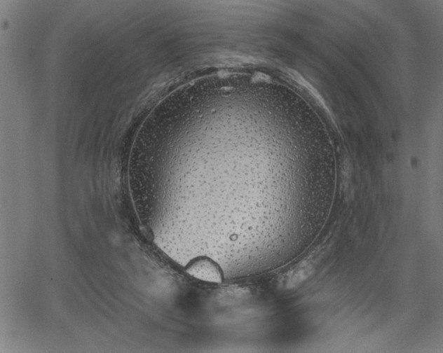 X0000065970257200603061156