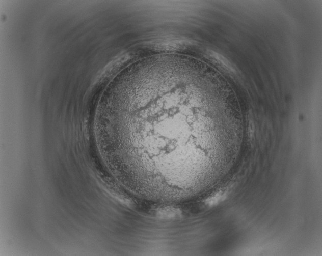 X0000065970258200603061156