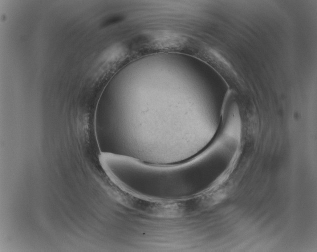 X0000065970260200603061157