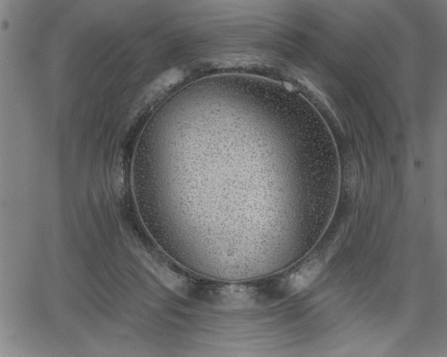 X0000065970261200603061157