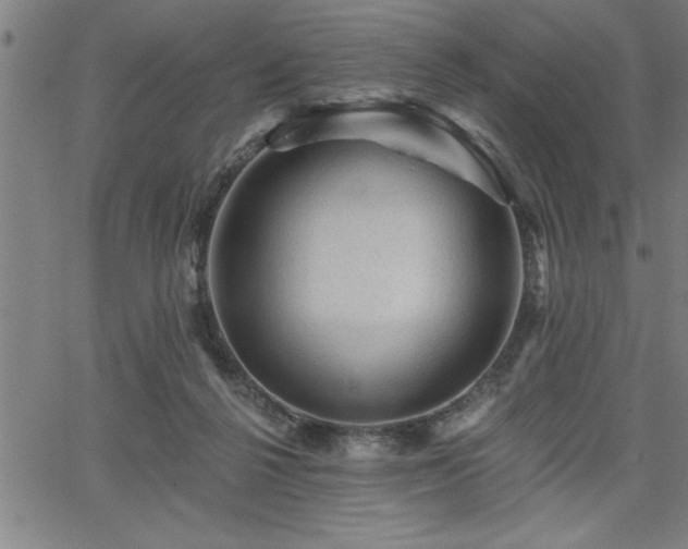 X0000065970264200603061157