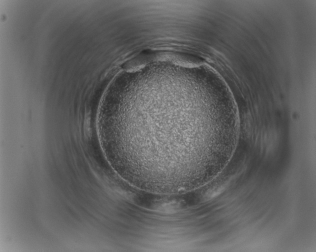 X0000065970267200603061157