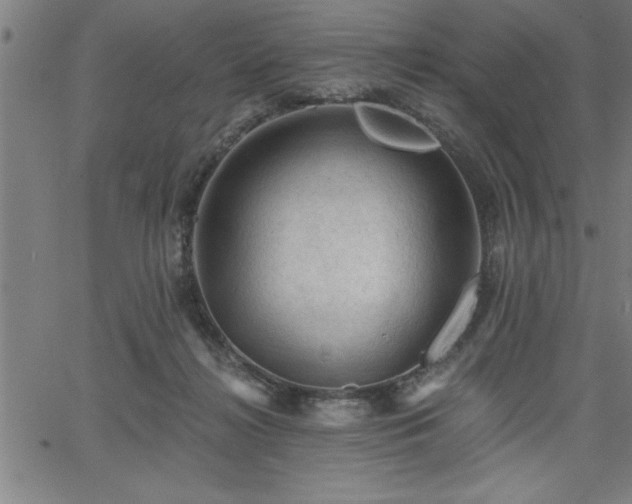 X0000065970268200603061157