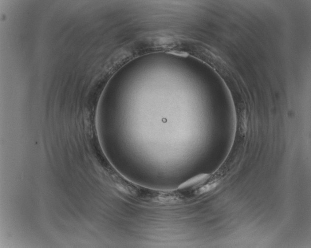 X0000065970270200603061157