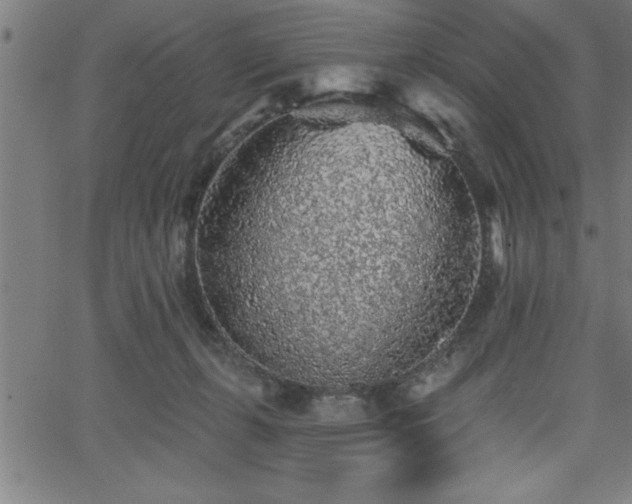 X0000065970271200603061157