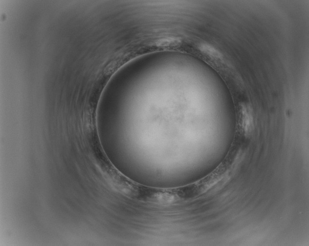 X0000065970272200603061157