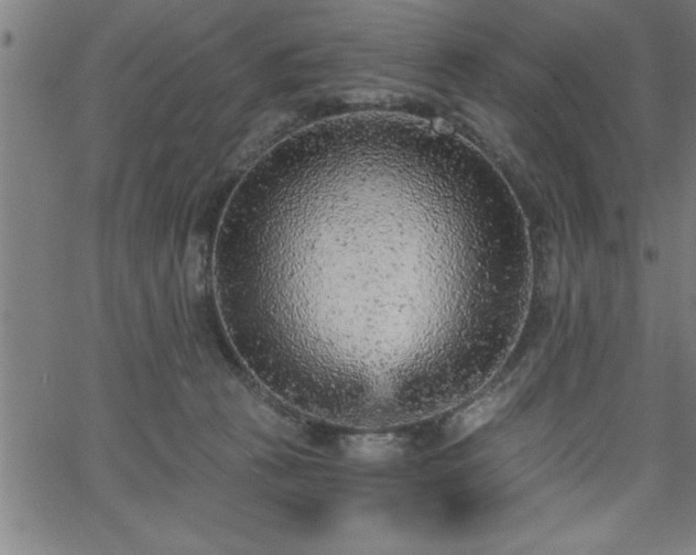 X0000065970273200603061157