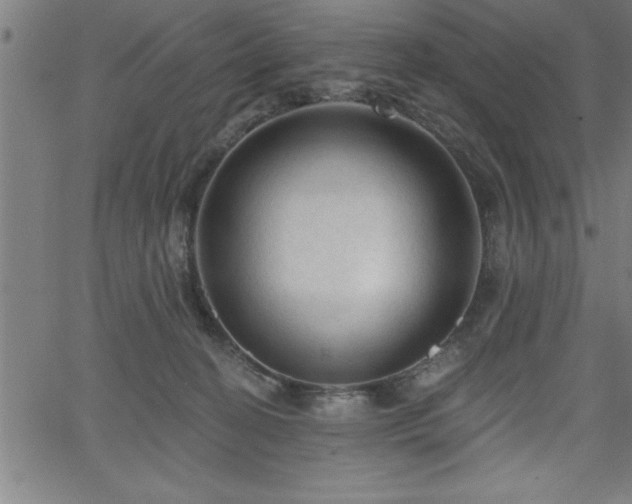 X0000065970274200603061157