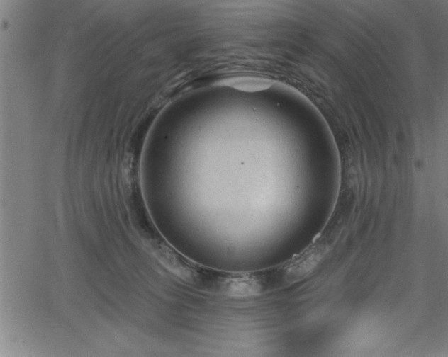 X0000065970275200603061157