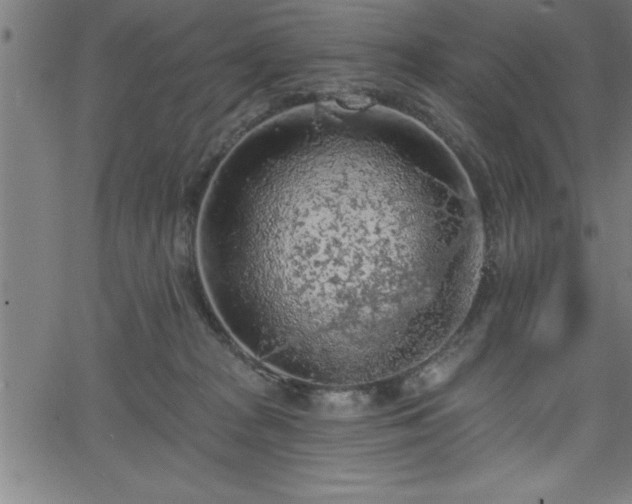 X0000065970277200603061157