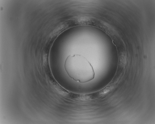 X0000065970278200603061157