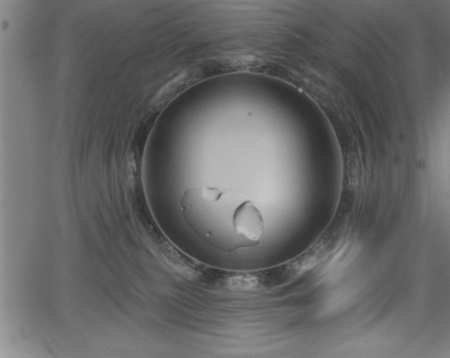 X0000065970279200603061157