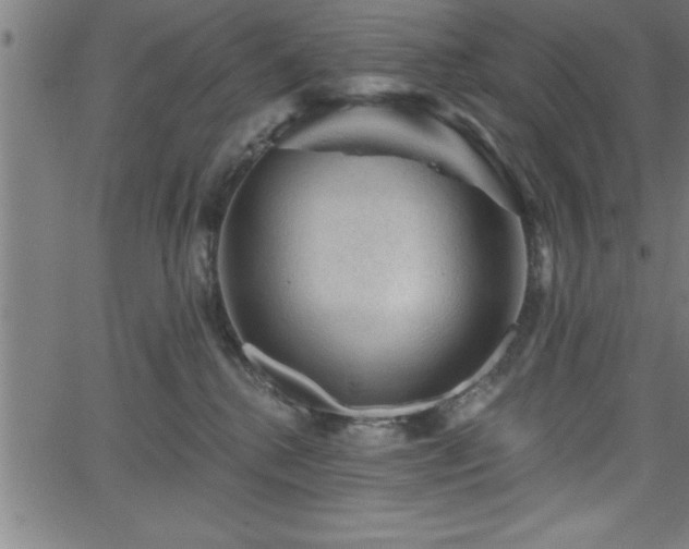 X0000065970280200603061157