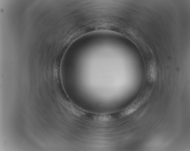 X0000065970282200603061157