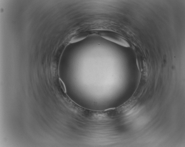 X0000065970283200603061157