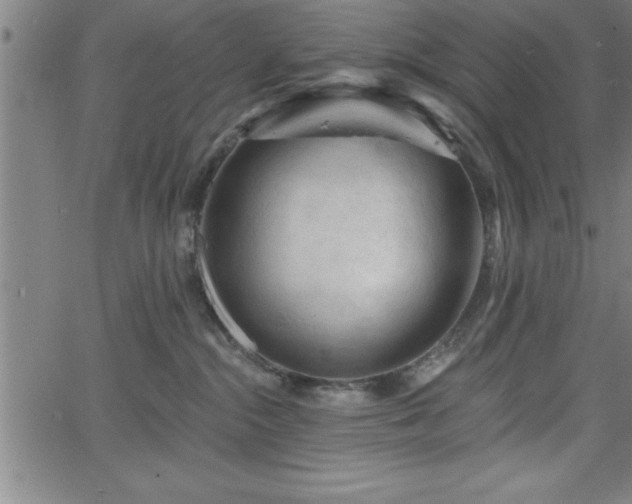 X0000065970284200603061157