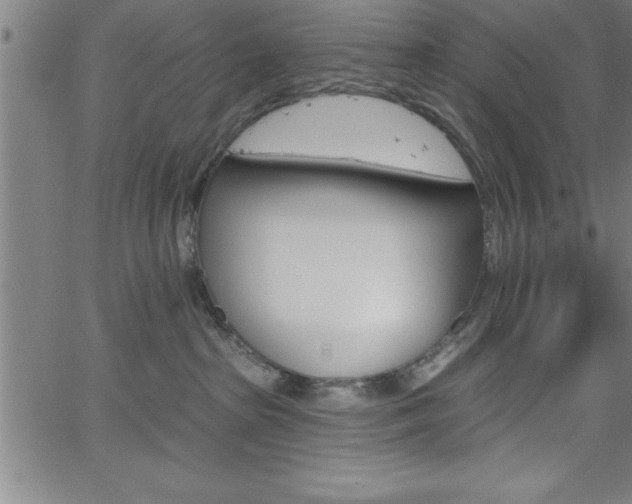 X0000065970285200603061157