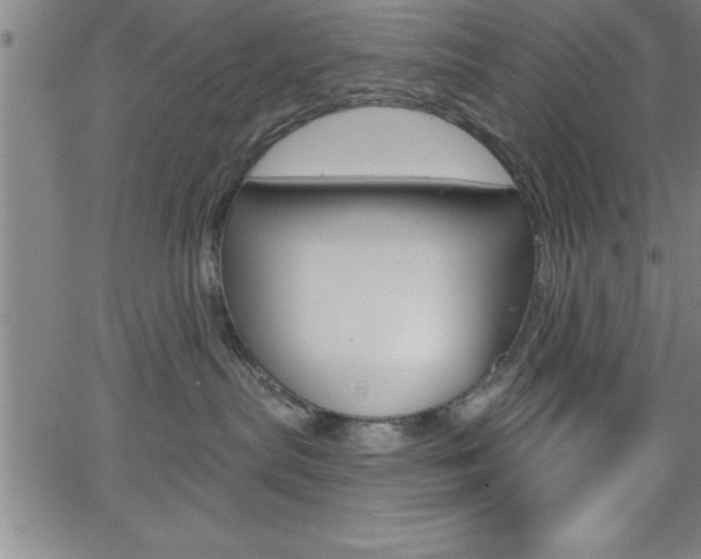 X0000065970287200603061157