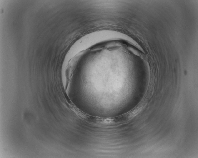 X0000065970288200603061157