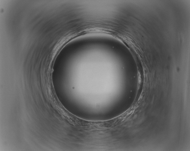 X0000065970289200603061156