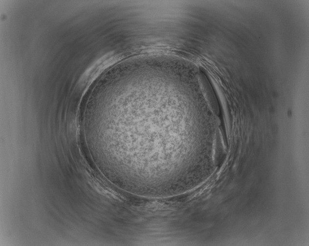 X0000065970290200603061156