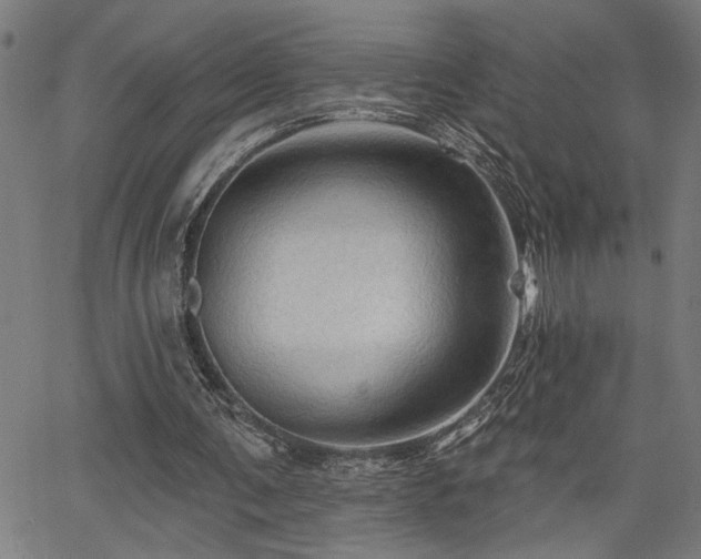 X0000065970291200603061156