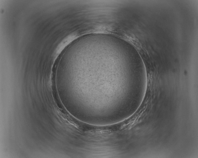 X0000065970292200603061156