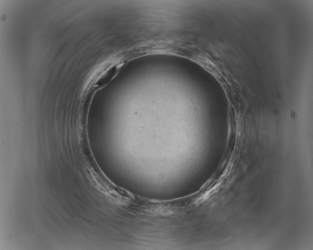 X0000065970293200603061156