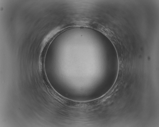 X0000065970294200603061156