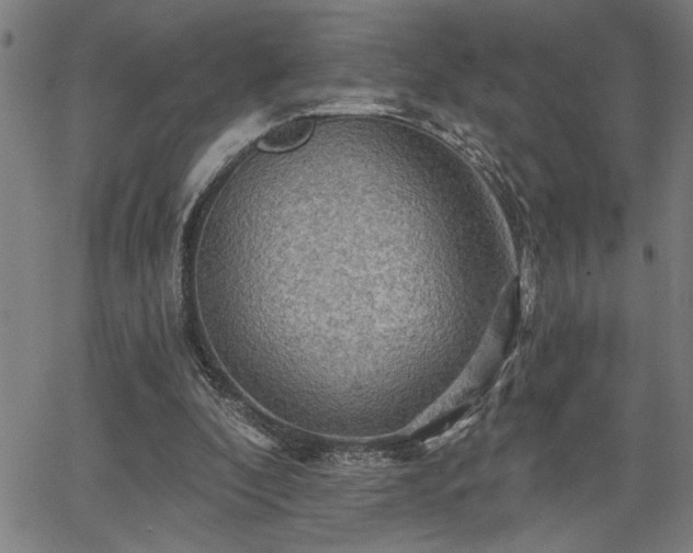 X0000065970296200603061156