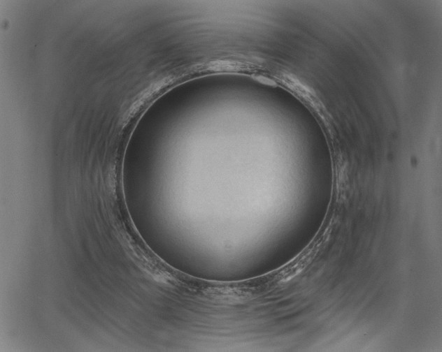 X0000065970297200603061156