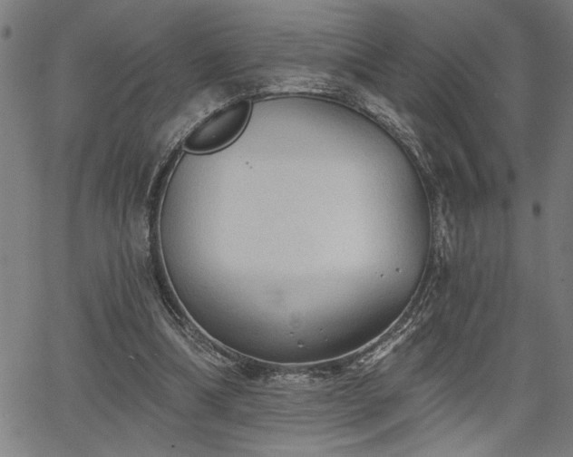 X0000065970298200603061156