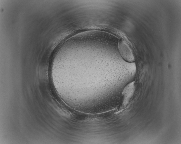 X0000065970299200603061156