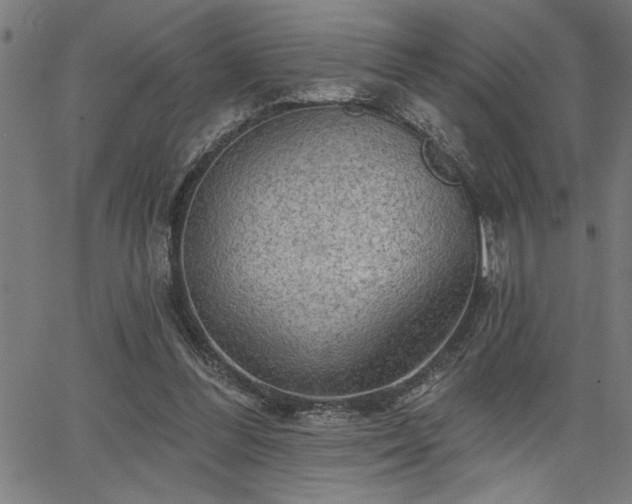 X0000065970300200603061156