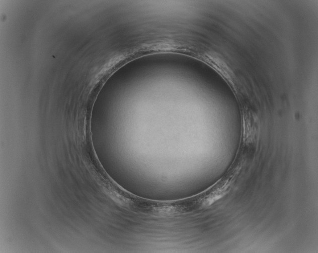 X0000065970301200603061156