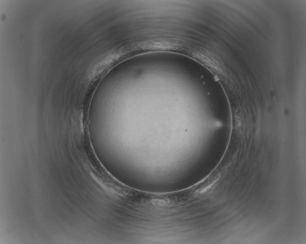 X0000065970302200603061156